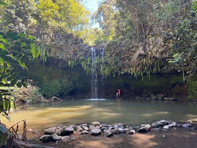 Twin Falls