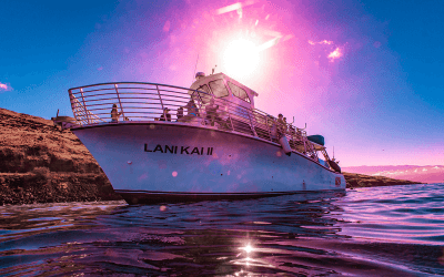 Things To Do In Maui, Hawaii (2026): 60 Best Activities & Local Tips