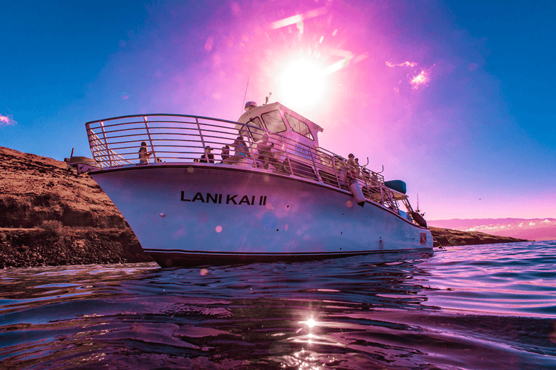 Qué hacer en Maui, Hawái (2026): 60 actividades y consejos locales