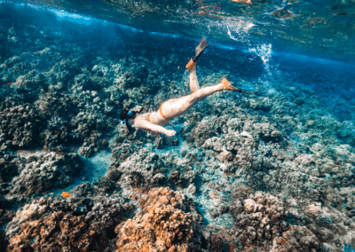Best Time To Visit Maui - Girl Snorkeling On A Maui Snorkeling Tour