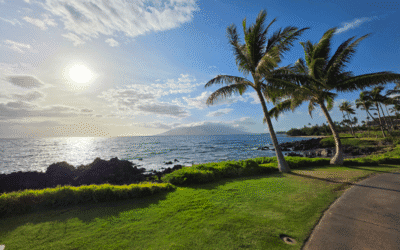 Maui in July 2025: What to Expect, What to Do, and Why It’s Worth the Trip