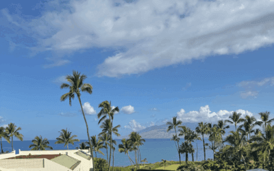 Best Time to Visit Maui: Your Ultimate Month-by-Month Guide