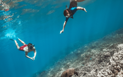 Honolua Bay (Maui) 2025: Access Trail, Swimming, & Lookout Guide