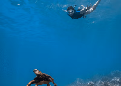 snorkelwithturtle