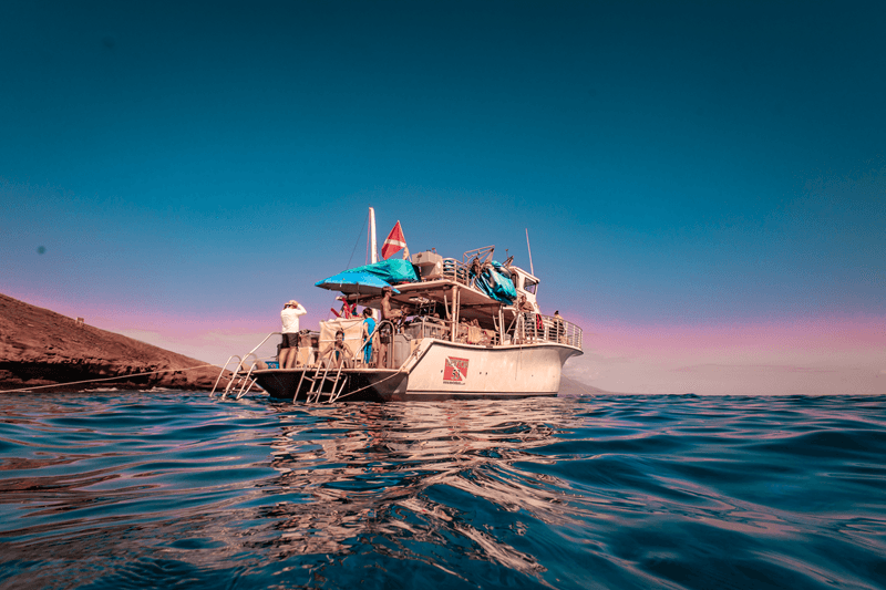 Lani Kai II - Maui Snorkeling