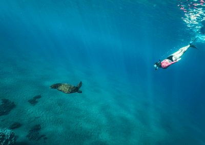 Snorkel en Turtle Town, Maui