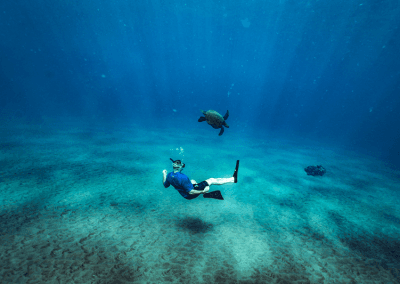 Snorkel en Turtle Town - Snorkel en Maui