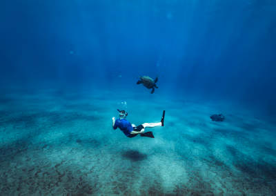 Turtle Town Snorkeling - Maui Snorkeling