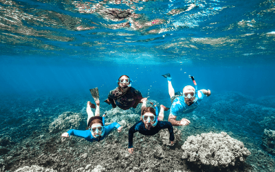 6 emocionantes actividades acuáticas en Maui que no te puedes perder