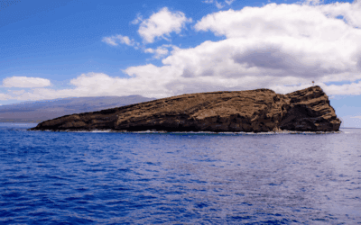 Black Rock vs. Molokini: Which Snorkel Fits You (2025)?