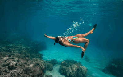 Morning vs Afternoon Snorkeling Maui: Choose What Suits You