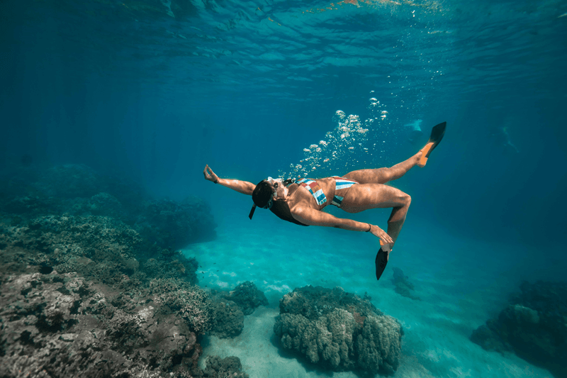 Snorkel matutino vs. vespertino en Maui