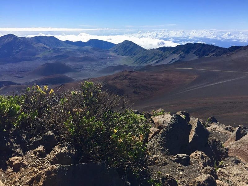 ハレアカラ ビジター センター近くの火口展望台まで続く短いパ カオアオ (ホワイト ヒル) トレイル ハレアカラ ビジター センター近くの火口展望台まで続く短いパ カオアオ (ホワイト ヒル) トレイル