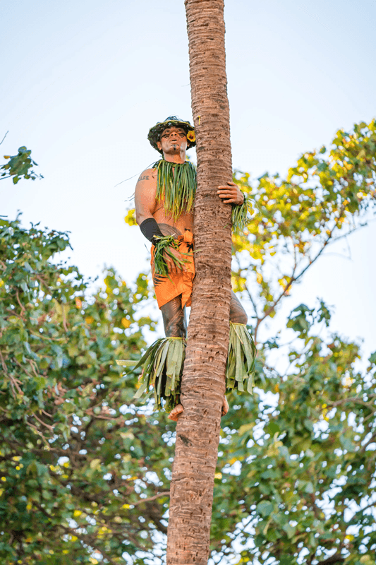 Wailele Lūʻau (Westin Maui Resort & Spa, Kāʻanapali)