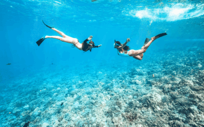 マウイ島の隠れた冒険5選：人里離れたビーチ、ハイキング、シュノーケリングスポット