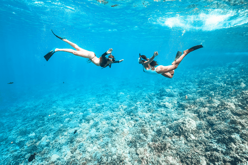 シュノーケラーはモロキニツアーでマウイ島の冒険を楽しみます