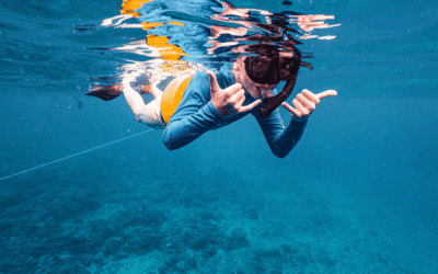 Maui Snorkeling for Beginners: How to Get Started and Stay Safe