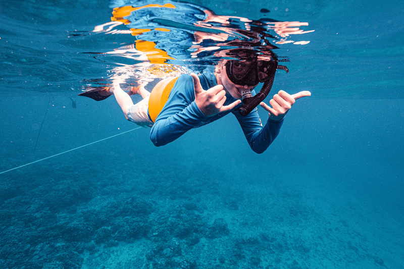maui snorkeling for beginners on maui snorkeling tour