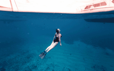 Molokini + Turtle Town Morning Combo: What to Expect