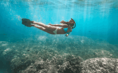 Maui Snorkel Conditions 101: How to Read Wind, Swell & Visibility