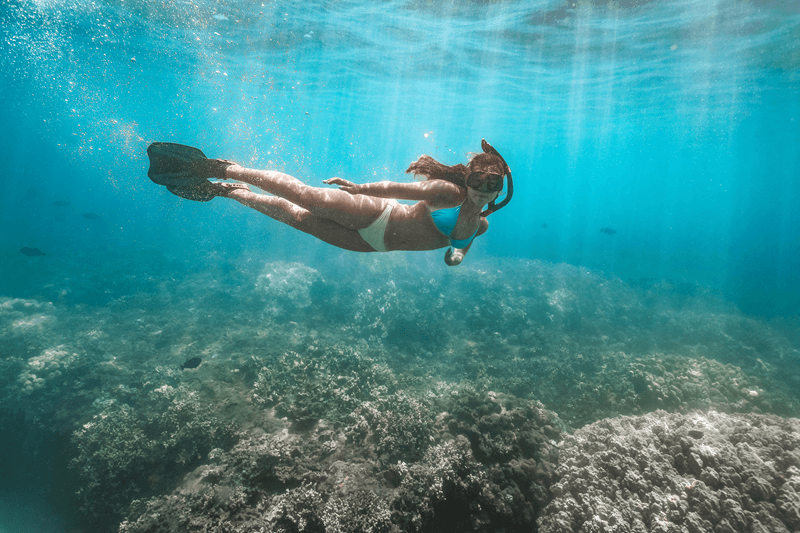 Maui Snorkel Conditions 101: How to Read Wind, Swell & Visibility