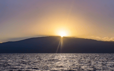 5 Ocean‑Safe Ways to Have the Best Maui Snorkel on a Windy Day