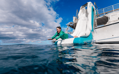 New Year’s Week Snorkeling In Maui: 3 Itineraries (Calm/Windy/Backup)