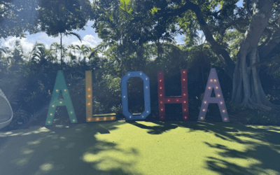 2026年に責任を持ってマウイ島を訪れる方法