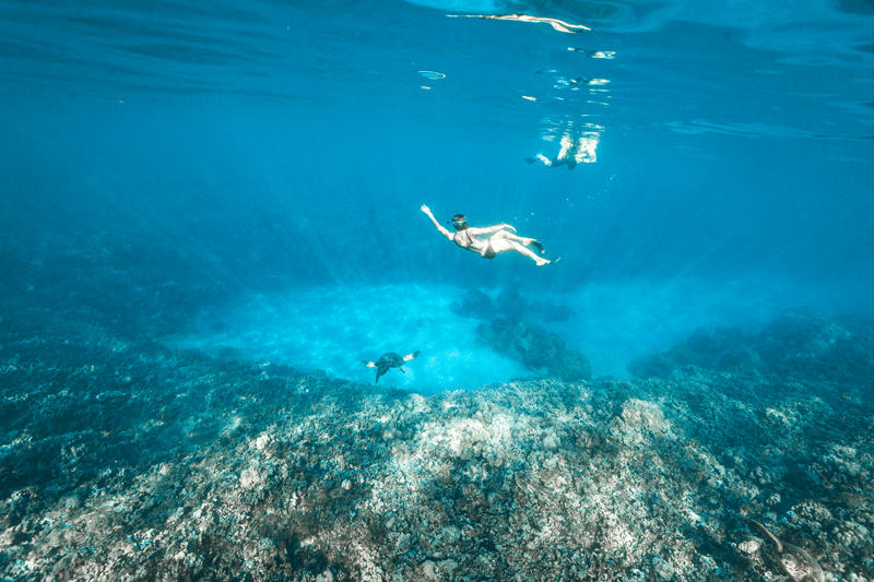 Snorkeler above a coral reef and a sea turtle on Hawaii excursions