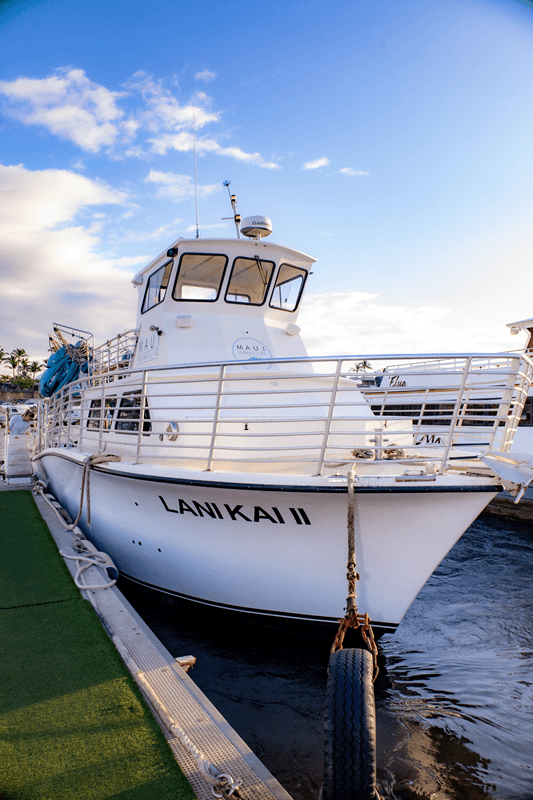 Lani Kai II at Maalaea Harbor, Slip 64 check‑in area (Maui Snorkeling) Lani Kai II at Maalaea Harbor, Slip 64 check‑in area (Maui Snorkeling)
