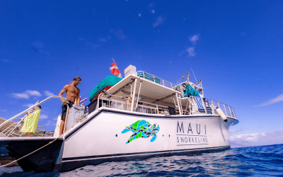How Maui Snorkeling Compares To Big-Boat Snorkel Tours