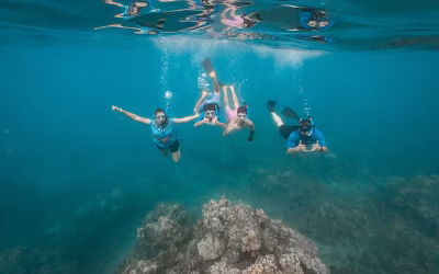 Schnorcheln auf Maui mit Brille oder Kontaktlinsen: Der Leitfaden für klares Sehen (2026)