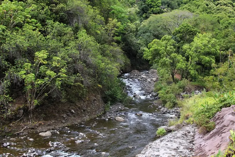 Der ʻĪao-Strom fließt durch die üppige grüne Landschaft des ʻĪao Valley State Monuments auf Maui