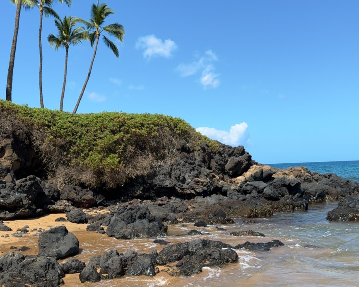 Rocky shoreline at Ulua Beach Maui with black lava rocks, palm trees, sand, and clear blue ocean water.