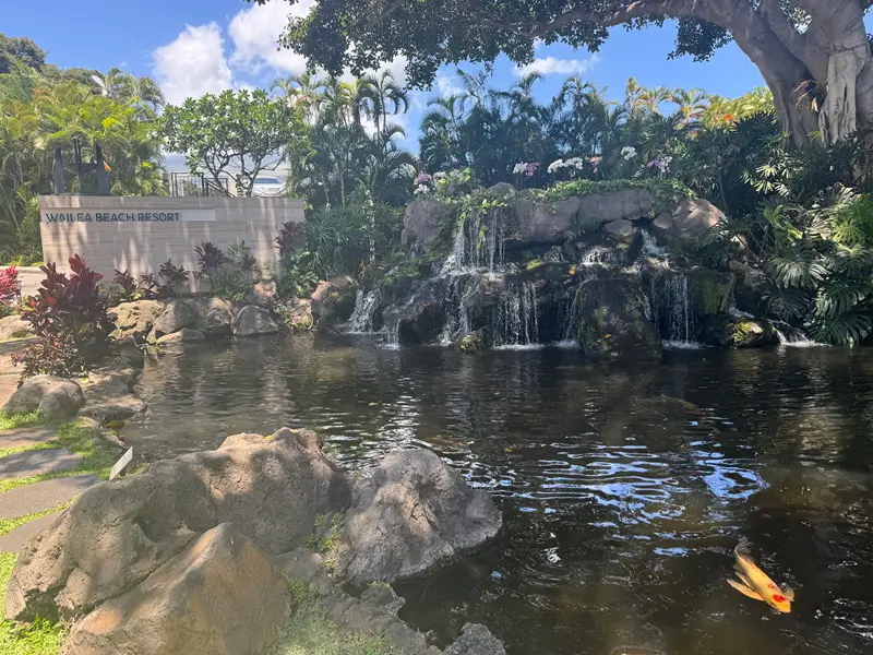 Wailea Beach Resort entrance with waterfall pond and koi fish in tropical garden Maui