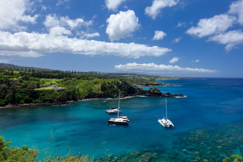 Honolua Bay Maui overlook with clear blue water, anchored boats, reef, green coastline, and people in the ocean