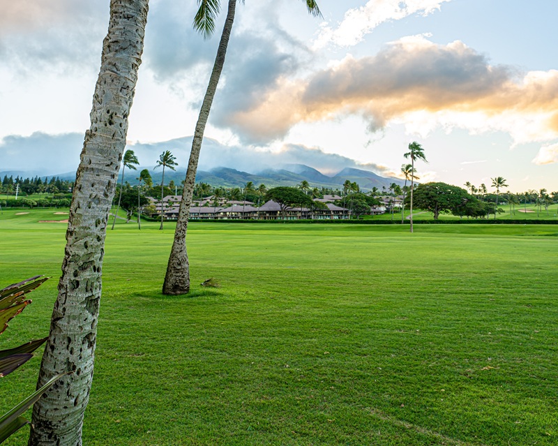 Calle del campo de golf Kaanapali Royal en Maui con palmeras y paisaje montañoso de fondo.