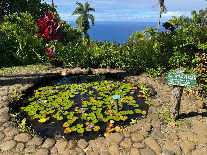 Vista del Keopuka Rock en Hana, Maui, con estanque de lirios, plantas tropicales y el océano de fondo