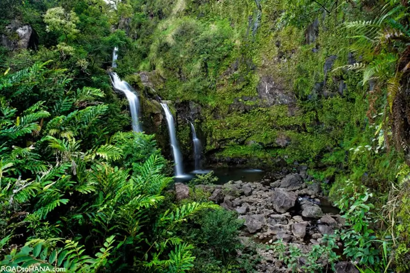 Upper Waikani Falls Three Bears Maui multi stream waterfall surrounded by lush greenery