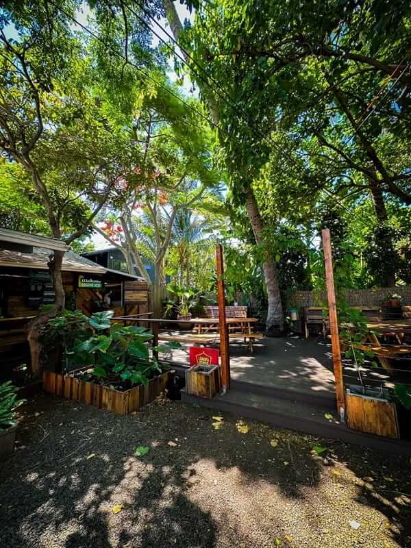 Outdoor seating area at Waikomo Shave Ice with wooden tables and lush tropical trees in Maui