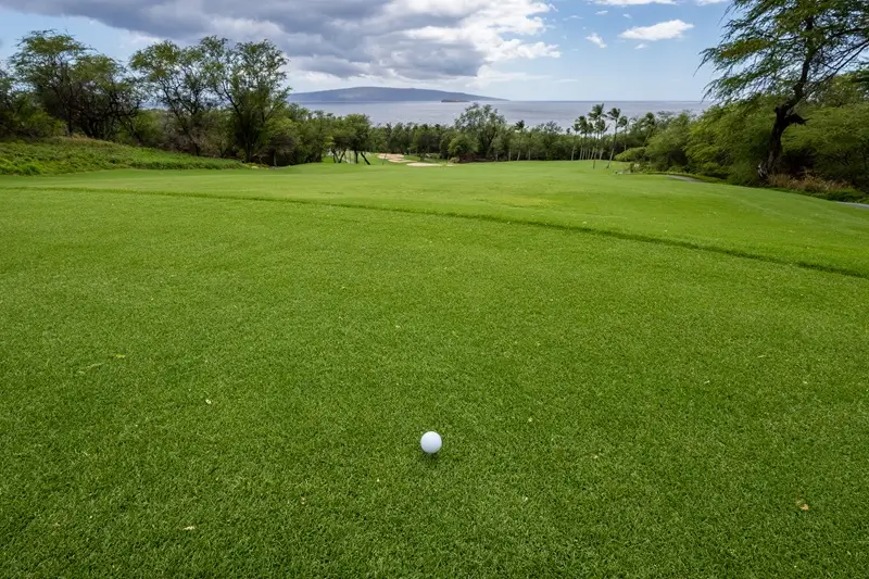Pelota de golf en la calle del Wailea Golf Club Maui con vistas al océano y a la isla.
