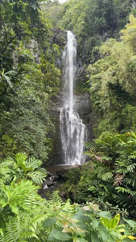 Wailua Falls Maui tall waterfall surrounded by lush jungle and tropical plants