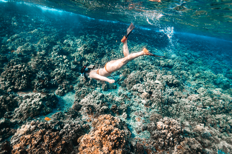 A snorkeler with fins swims above a colorful coral reef in clear blue Maui water during a snorkeling tour