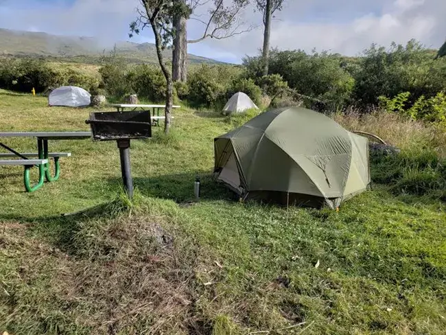 Tent camping at Hosmer Grove Campground in Haleakala National Park Maui with grassy campsites and picnic tables.