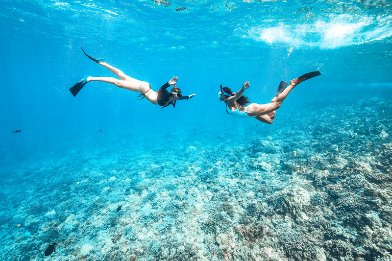 Dos personas practicando snorkel nadan sobre un arrecife de coral en aguas cristalinas de color azul durante una aventura oceánica con Maui Snorkeling Tours.