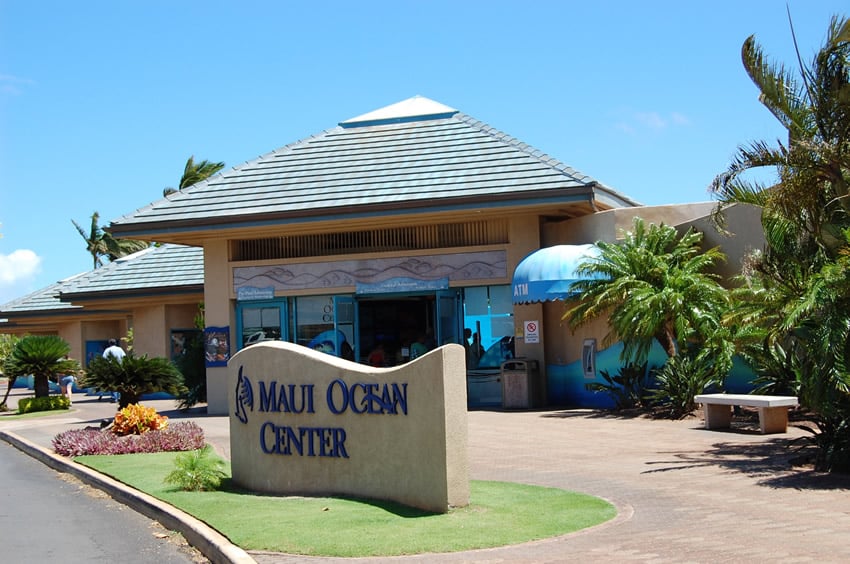 Maui Ocean Center near Maʻalaea Harbor as an easy family stop after a Maui Snorkeling tour