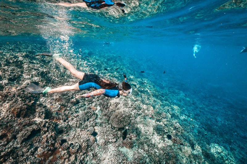Ein Schnorchler gleitet über ein Korallenriff im klaren blauen Wasser vor Maui; Flossen, Maske und Schnorchel sind unter Wasser sichtbar.