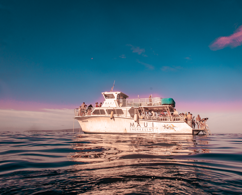 Esnórquel en Maui vs. Excursiones de esnórquel en barcos grandes: ¿Cuál es la mejor opción?