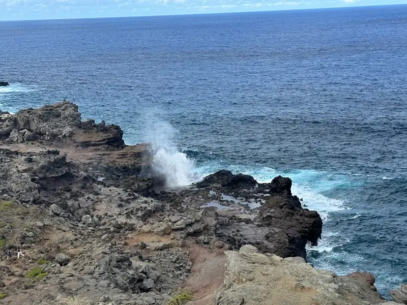 Nakalele Blowhole Maui with ocean water shooting upward through lava rock along rugged coastline