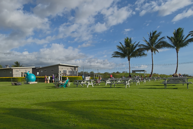 Maui Distilleries And Wineries: Ocean Vodka, Hali‘imaile, Waikulu & MauiWine